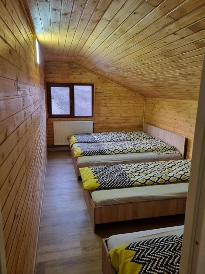 Cabana Valisoara Ngoại thất bức ảnh