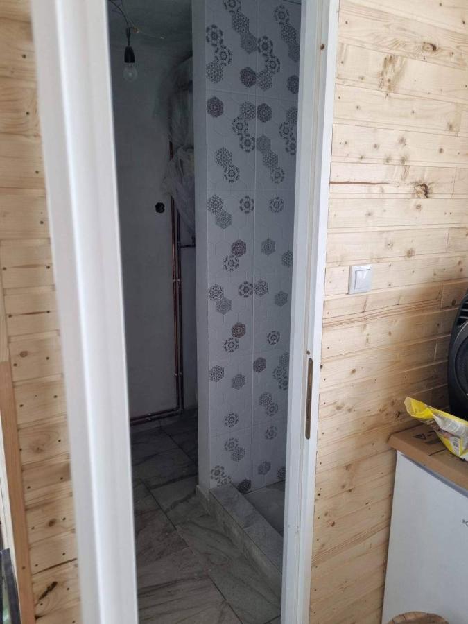 Cabana Valisoara Ngoại thất bức ảnh